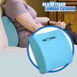 back support pillow
