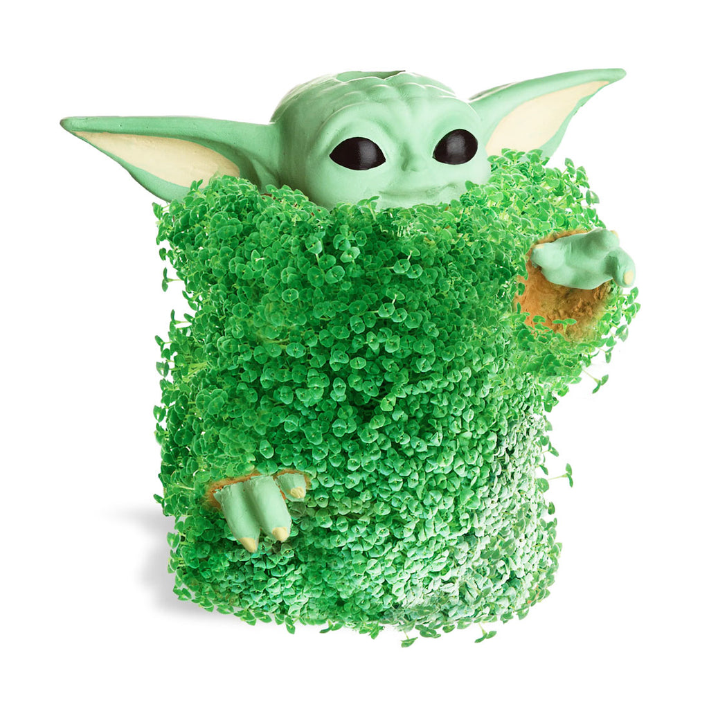 Chia Pet Planter - Star Wars Yoda the Child using The Force