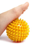 Holistic JESN Massage Ball