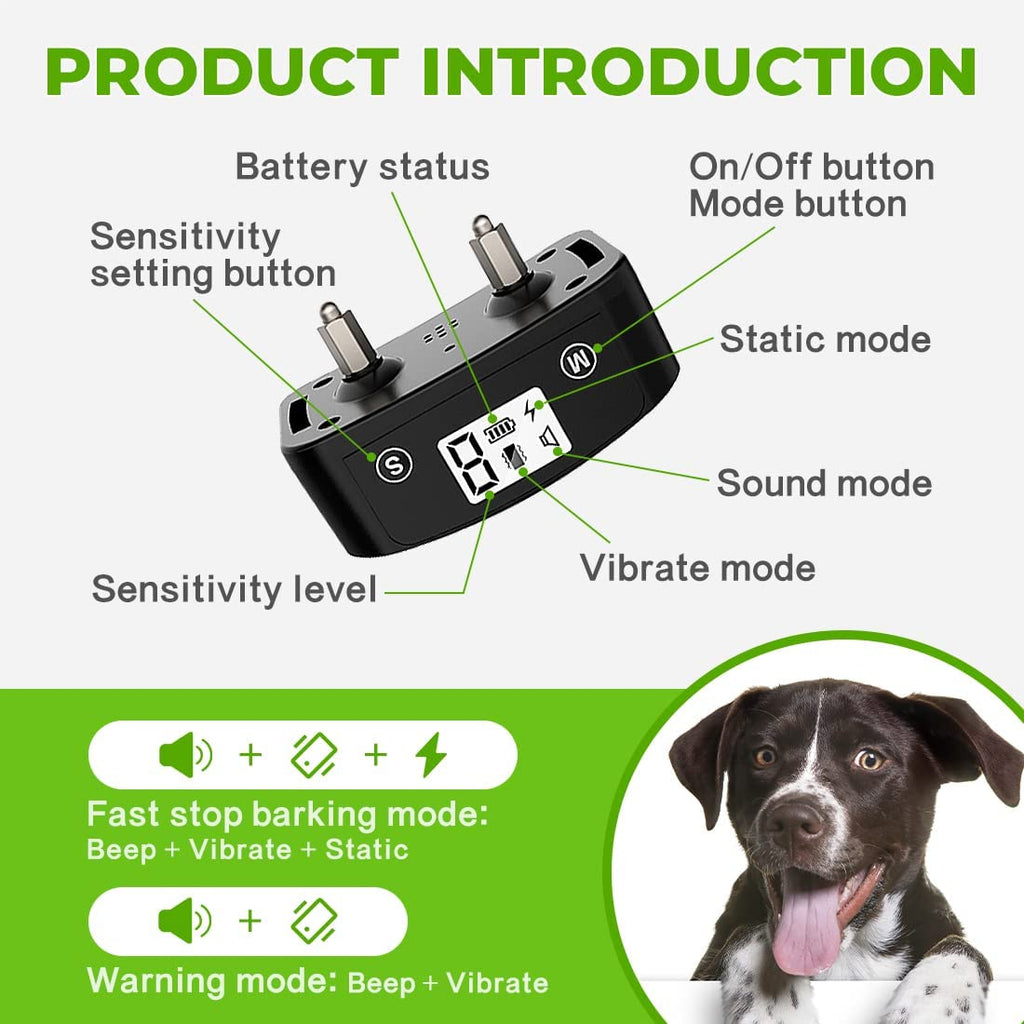 training your dog