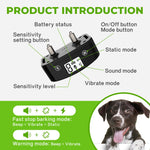 training your dog