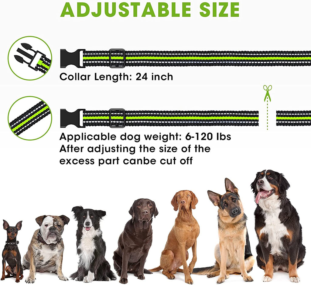 dog sale