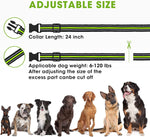 dog sale