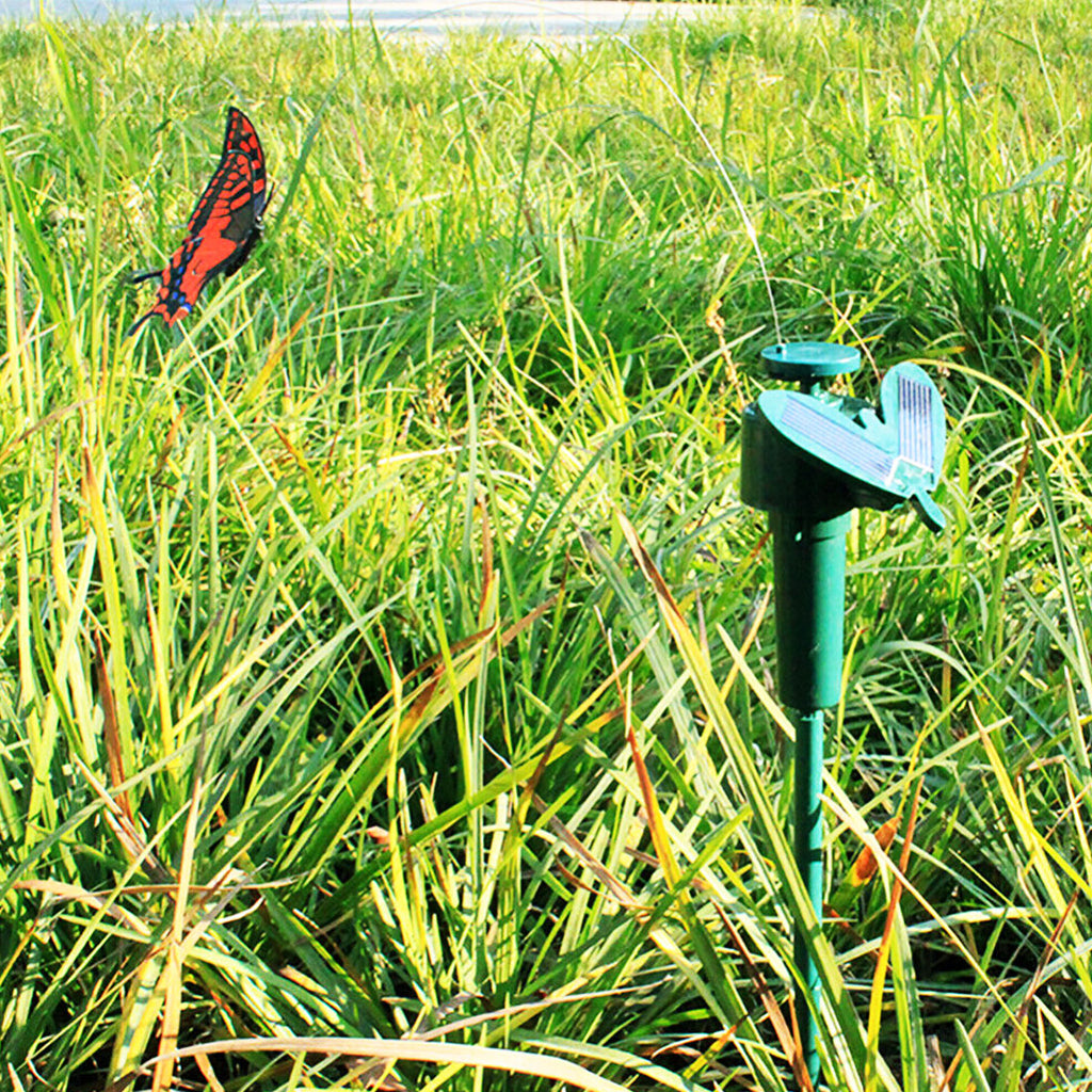 solar garden lights