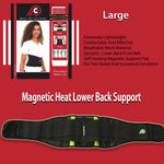lower back support belt