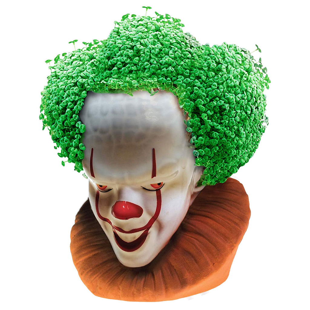 Chia Pet Planter - It -  Pennywise the Clown