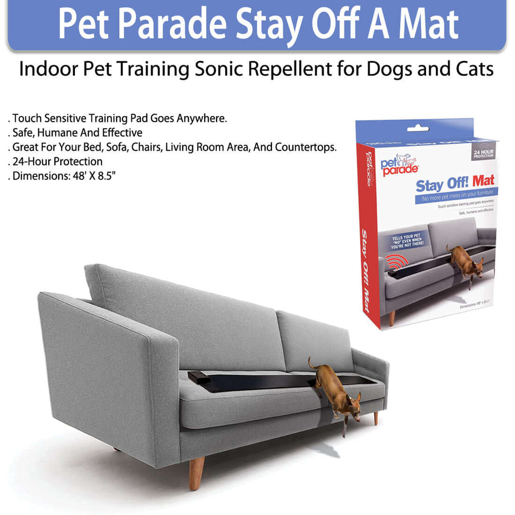 dog training