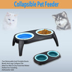 dogs feeding bowls