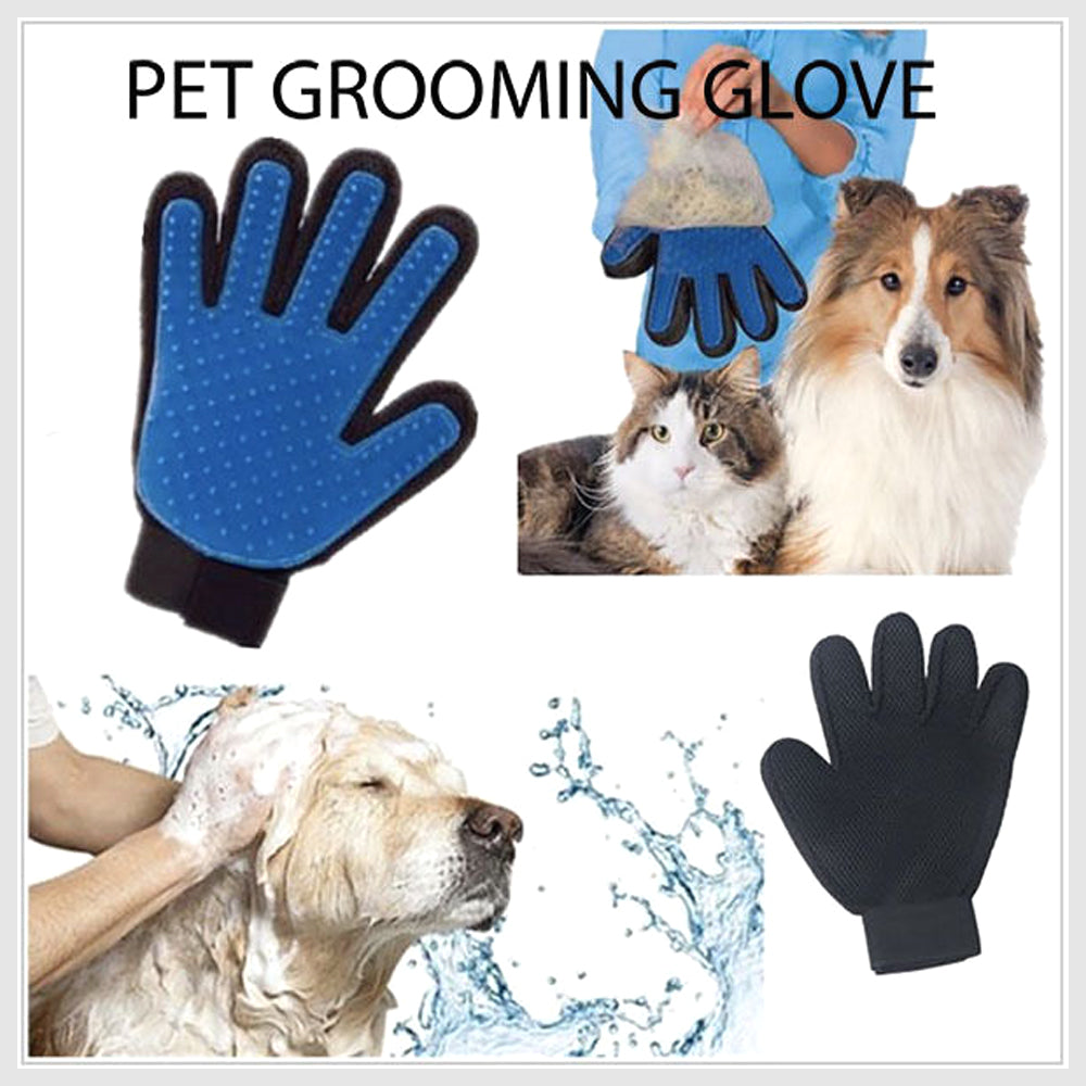 pet grooming