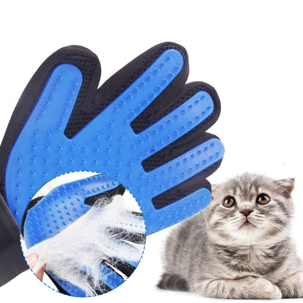 grooming glove