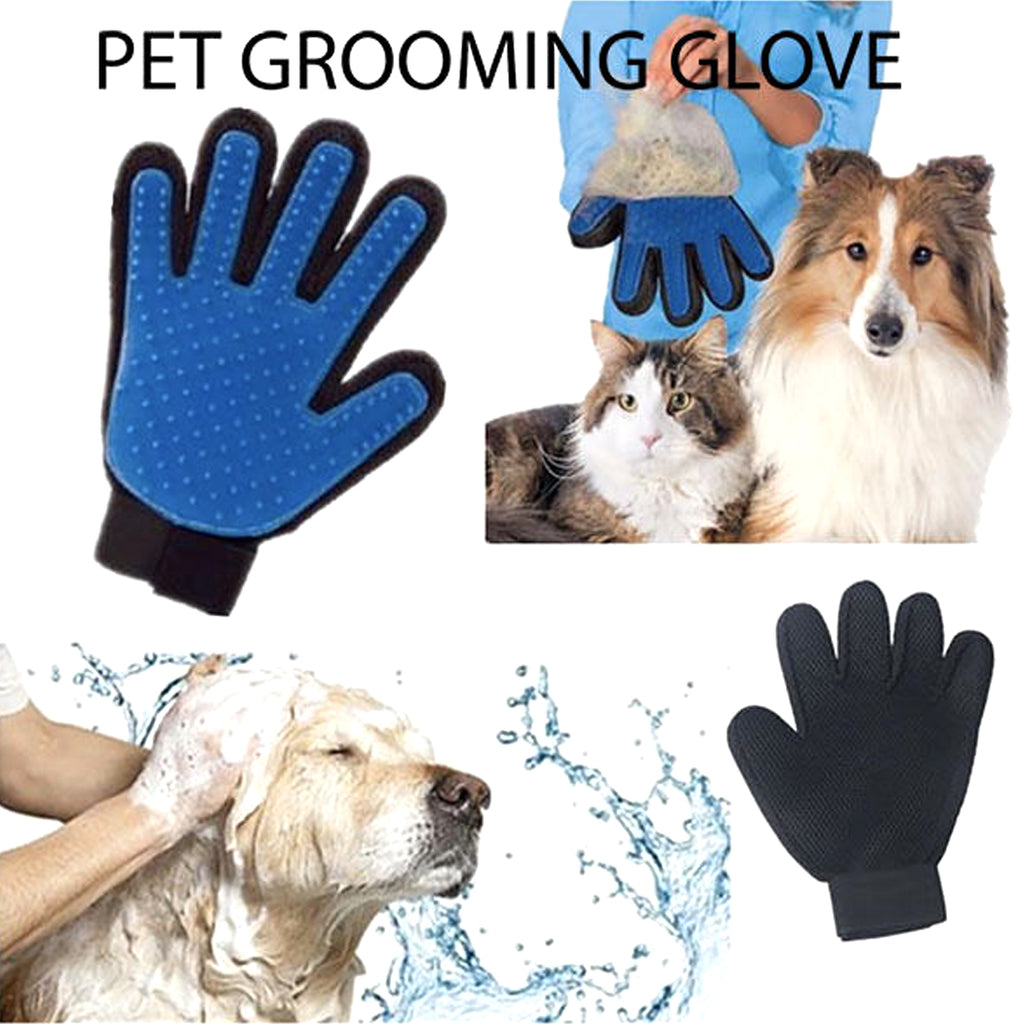 pet grooming