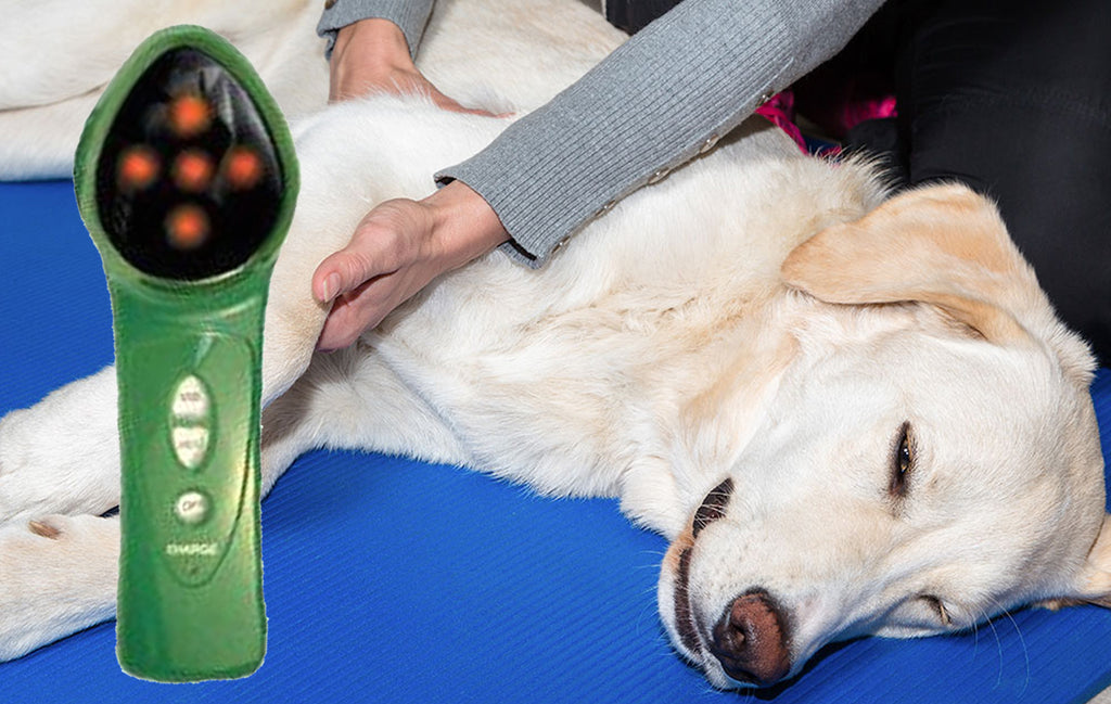 infrared pet massager