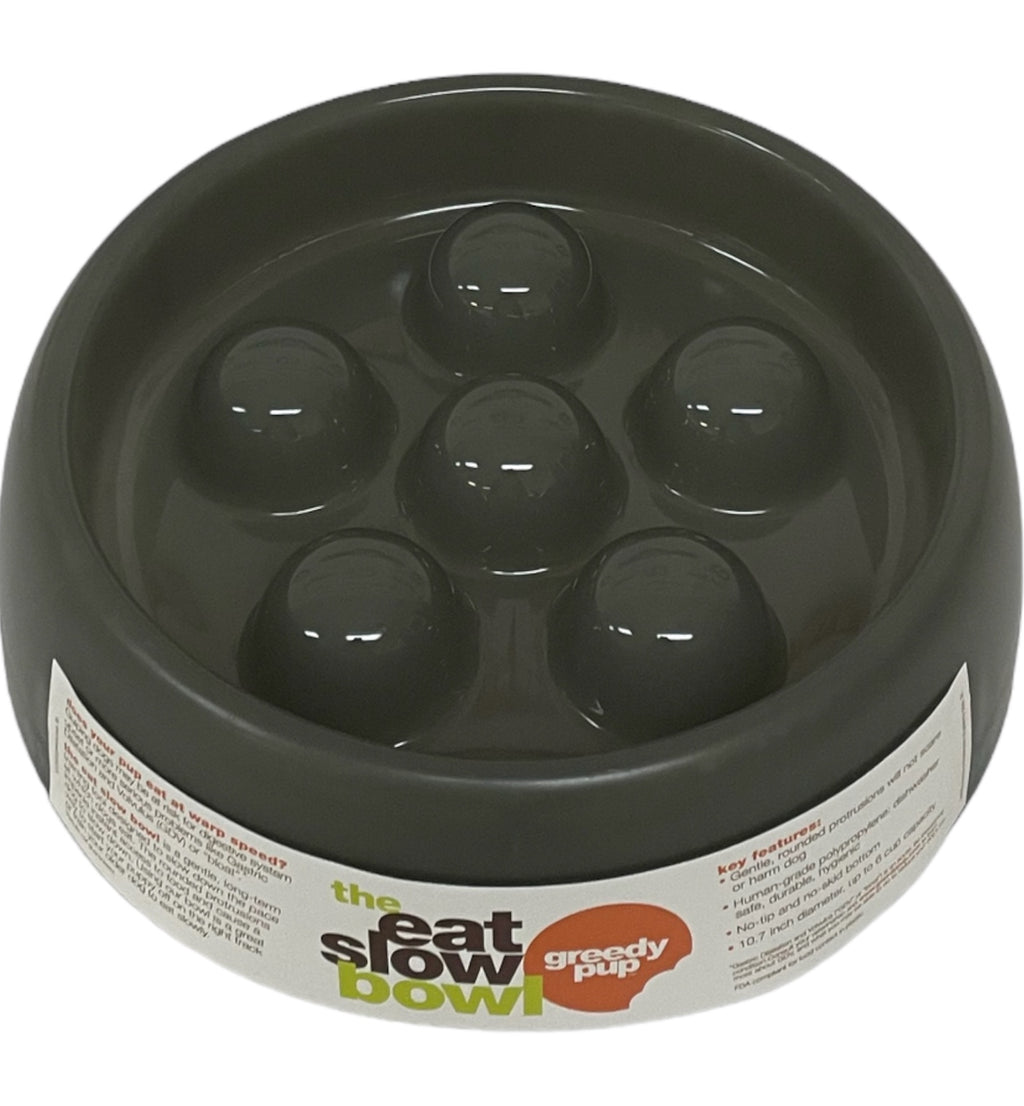 my dog will not eat dog food