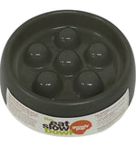 my dog will not eat dog food