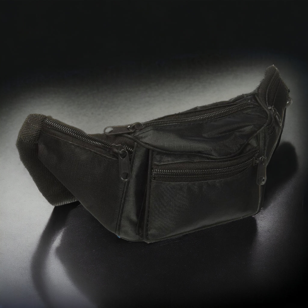 Kole 4 Compartment Travel Waist Pouch