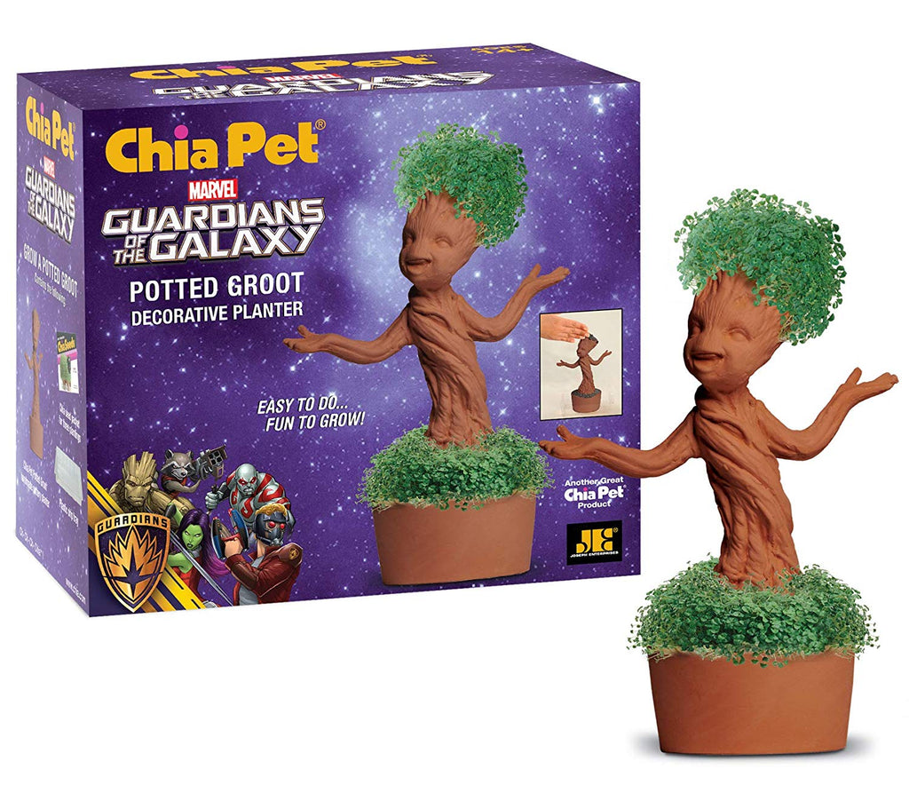 plant pots