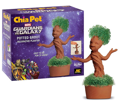 plant pots