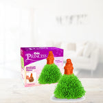 Chia Pet Planter - Princess