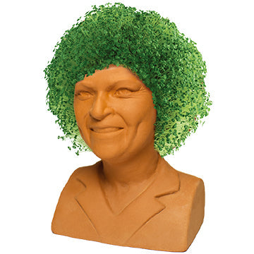 chia plant
