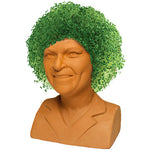 chia plant