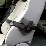 Vehicle Gun Holster