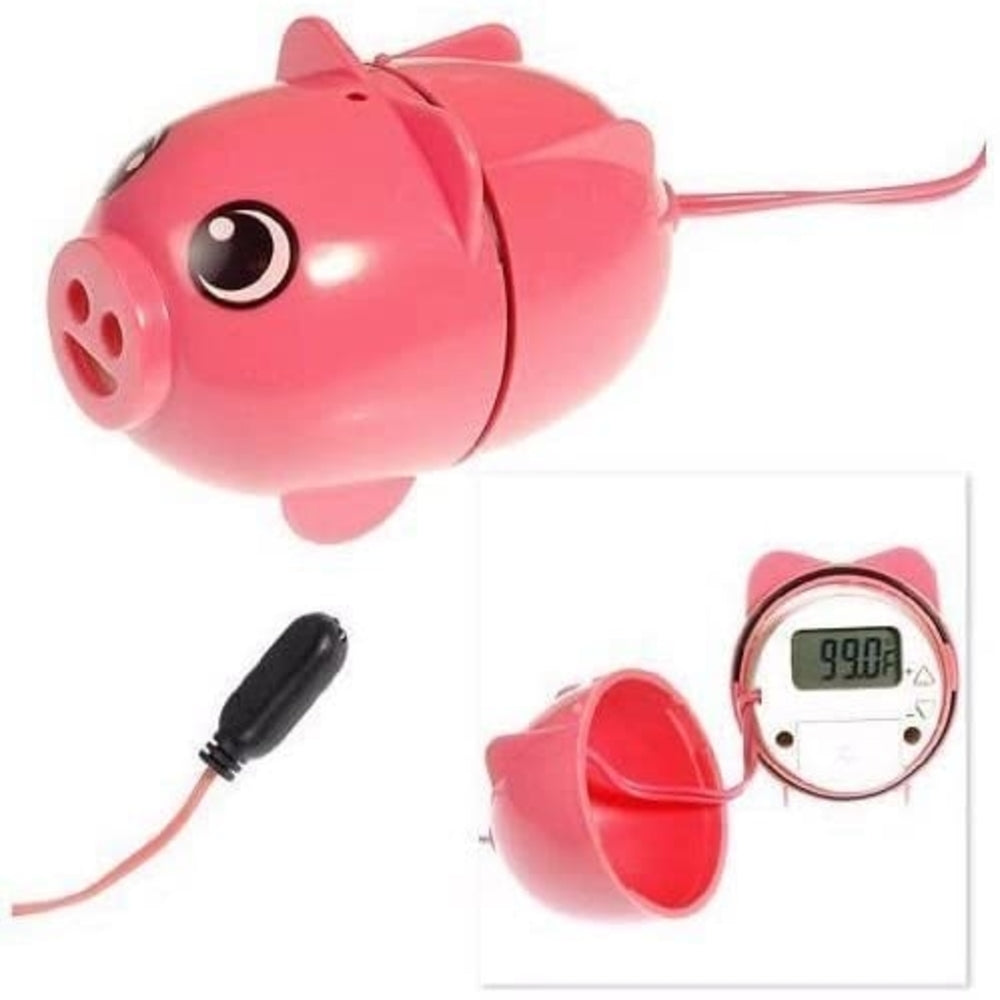 water temperature sensor