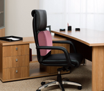 seat cushion for back pain
