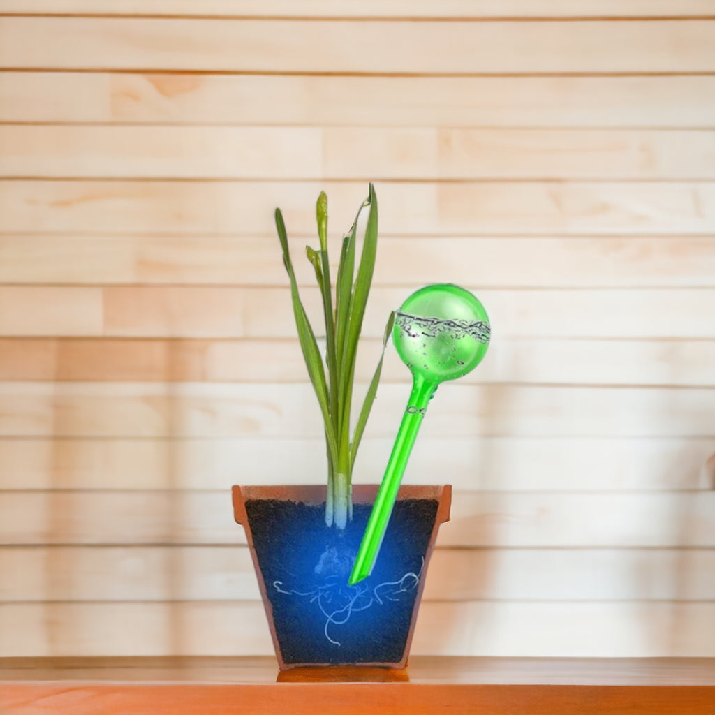 Watering Bulbs - Set of 2