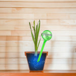 Watering Bulbs - Set of 2