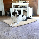 Pets at Play - Self Warming Pet Cushion Pad for Relief Joints & Hip Pain 18"x25" Non-Slip Washable