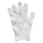 same day mail delivery service