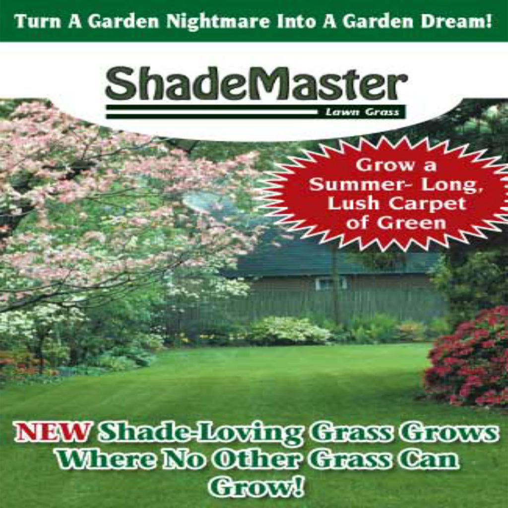 planting grass seed