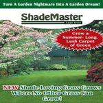 planting grass seed