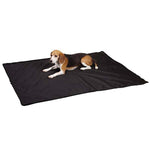 dog mat