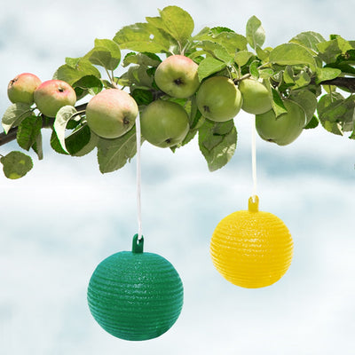 fruit fly trap