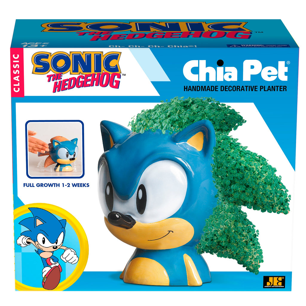 chia flower