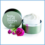 skin stem cells