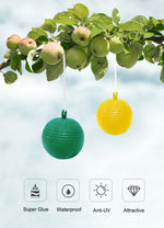 flying insect trap