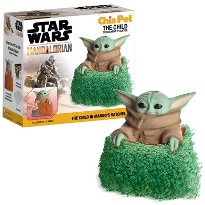 chia planter