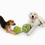 Wobble Wag Giggle Glow in the Dark Dog Ball