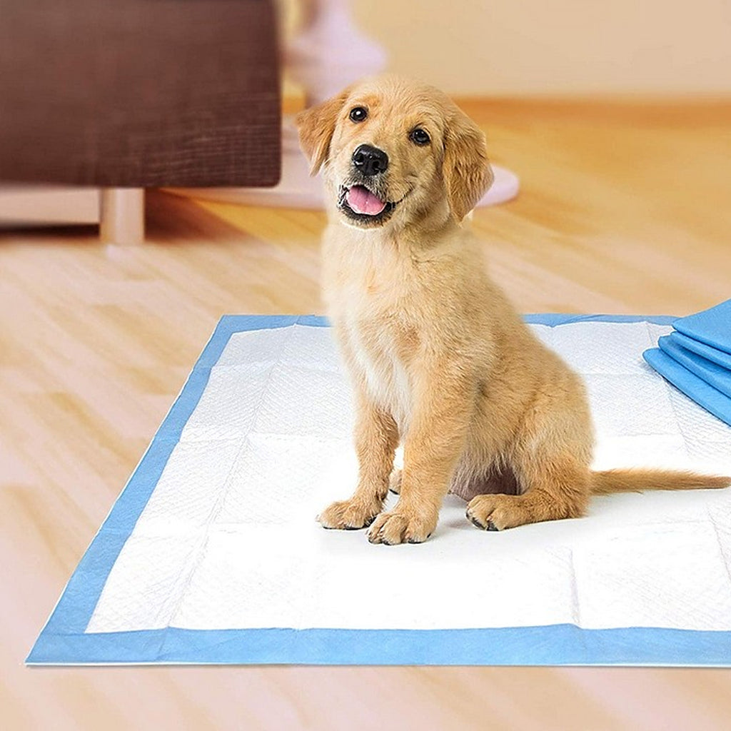 Four Paws Wee Wee Pads for Standard and Little Dogs, 36 Count