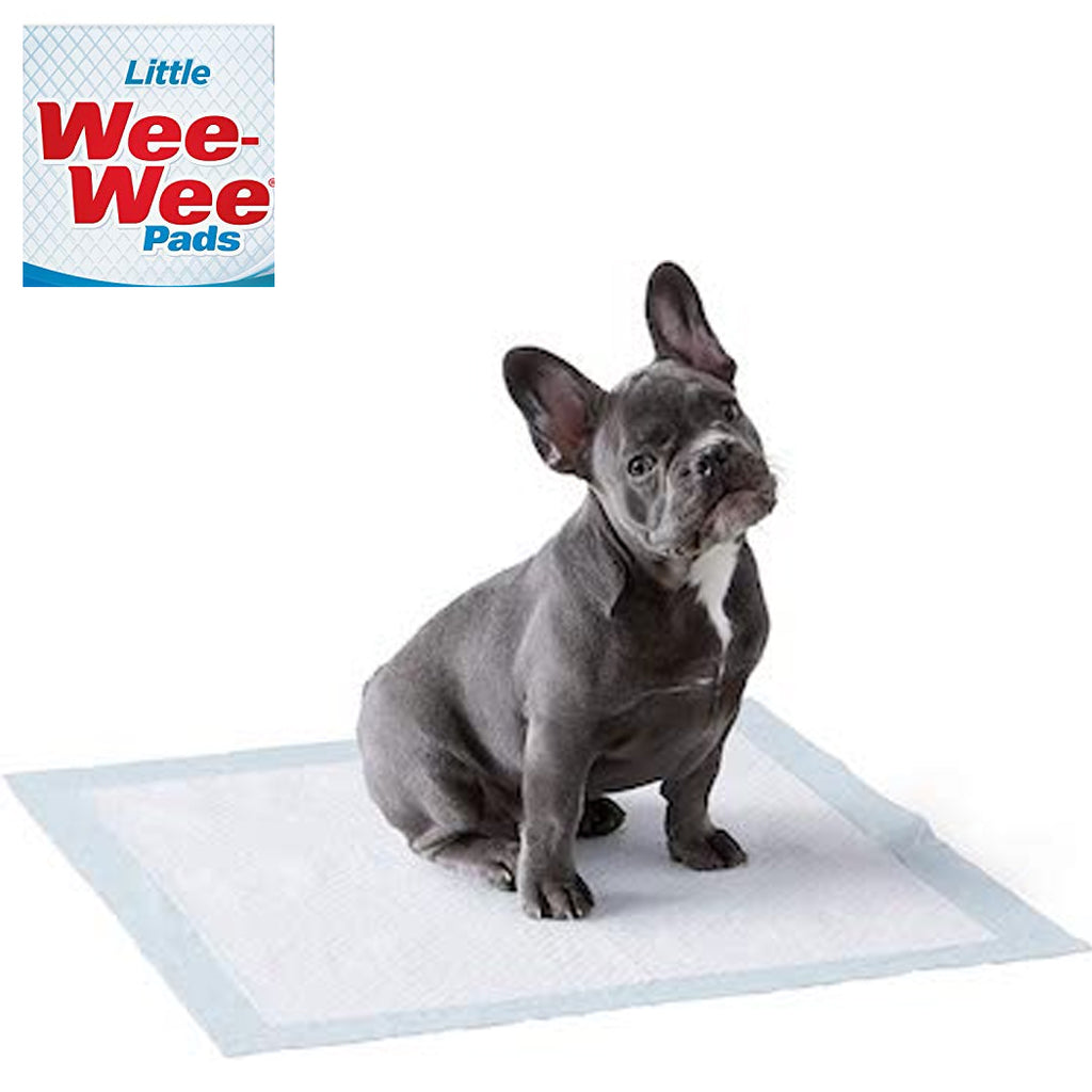 Four Paws Wee Wee Pads for Standard and Little Dogs, 72 Count