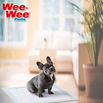 Four Paws Wee Wee Pads for Standard and Little Dogs, 36 Count