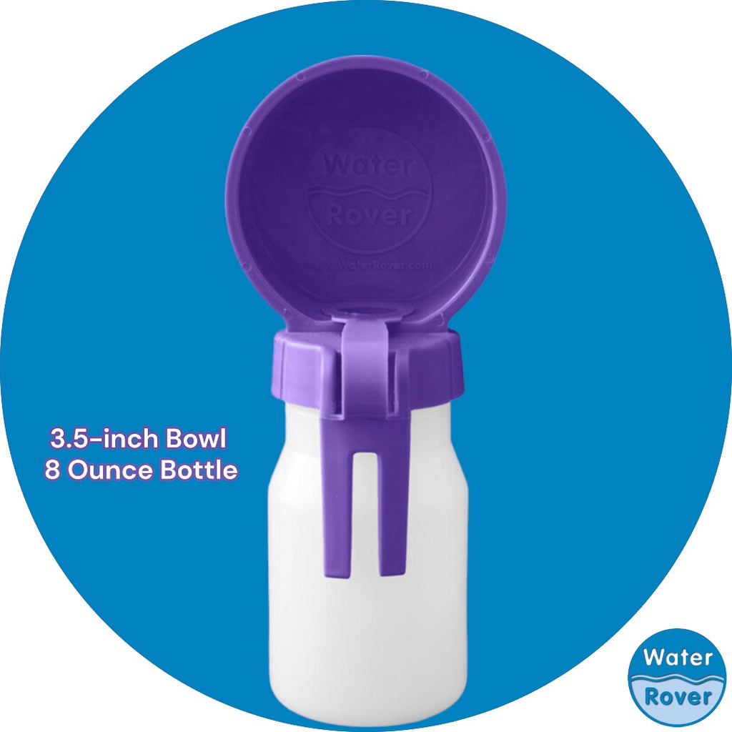 purple water bottle