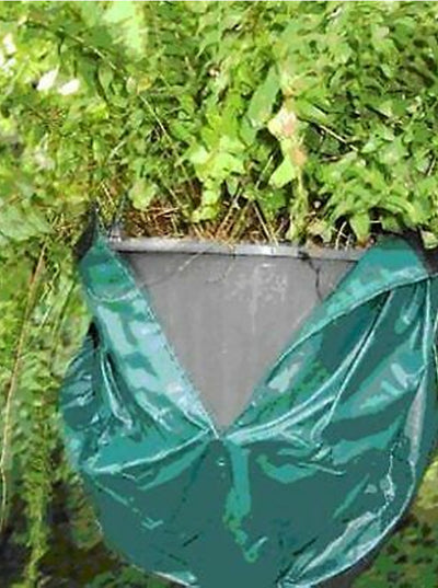 hanging planters